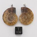 Ammoniten Paare mit Stiftöse aus 92,5er Silber